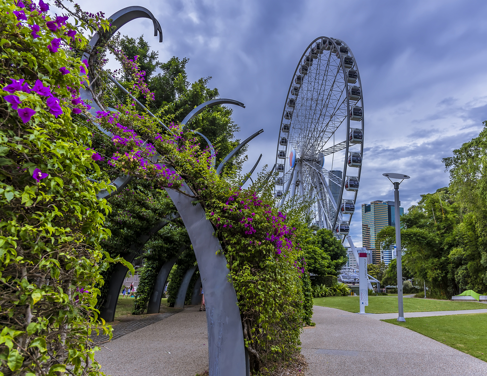 A day out at South Bank